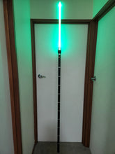 Load image into Gallery viewer, Saber Pike
